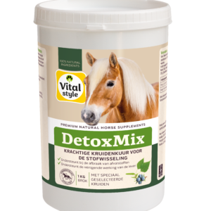 Detoxmix Vitalstyle