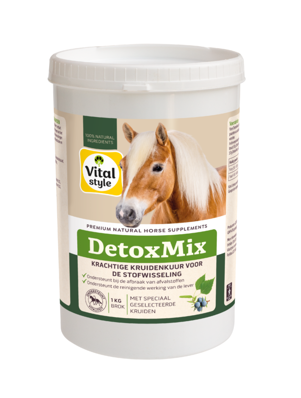 Detoxmix Vitalstyle