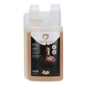 Garlic Allicin Liquid EU (Knoflook vloeibaar)  Exellent