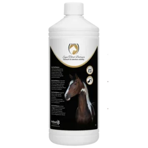 Equi Total Balance