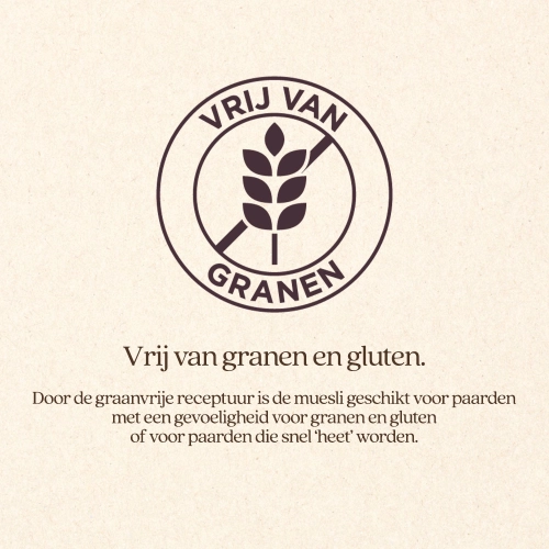 MUESLI ACTIVE & PROTEIN-Vitalstyle - Afbeelding 3