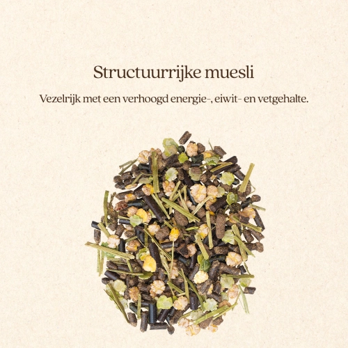MUESLI ACTIVE & PROTEIN-Vitalstyle - Afbeelding 5