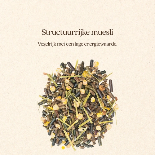 MUESLI LIGHT & SOBER- Vitalstyle - Afbeelding 2