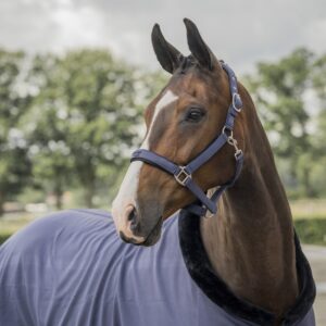 EQUESTRIAN PRO EMBOSSED HALSTER SET- Meerdere kleuren- Horka