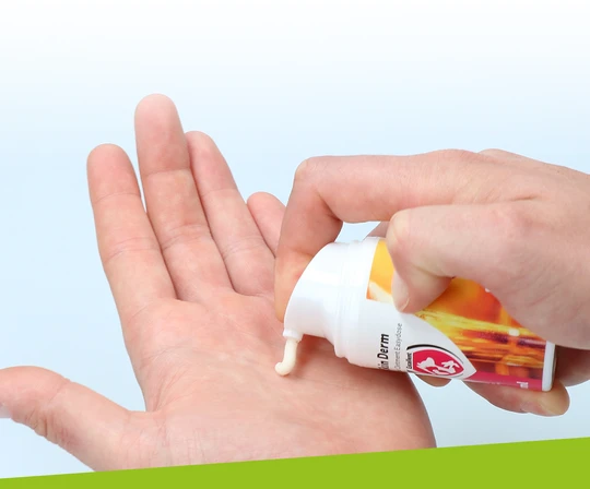 Skin Derm Propolis zalf in Easydose Exellent - Afbeelding 2