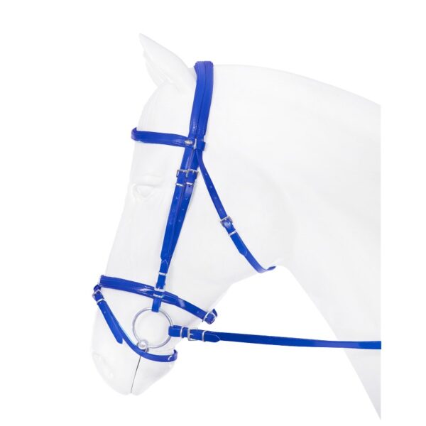 HOOFDSTEL PVC FLASHY- Meerdere kleuren- Horka - Afbeelding 3