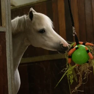 Maximus Fun Play Ball Meerdere kleuren