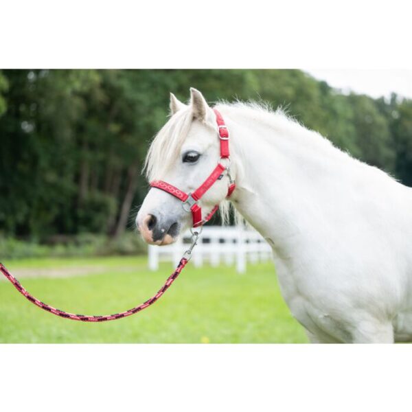 Halster Aymee HKM - Afbeelding 3