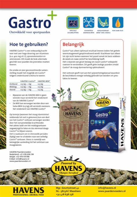 Havens Gastro+ - Afbeelding 2