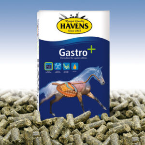 Havens Gastro+