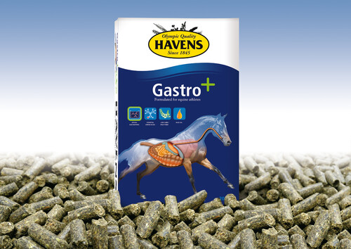 Havens Gastro+