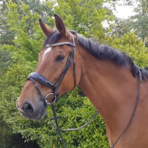 HB Show-time Jan van Westerhuis X-full