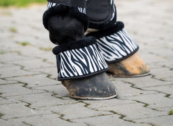 HB Springschoenen Zebra