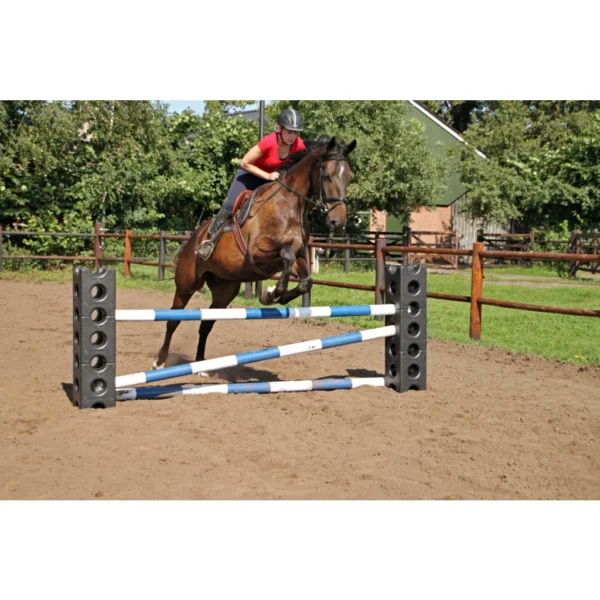 Excellent Horse Cube - Afbeelding 3