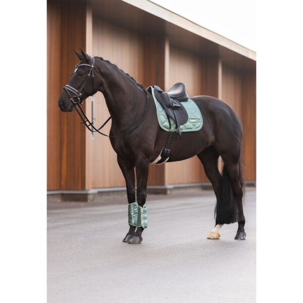 Dressuur peesbeschermers IRH-Lovely- Meerdere kleuren- Imperial Riding - Afbeelding 8