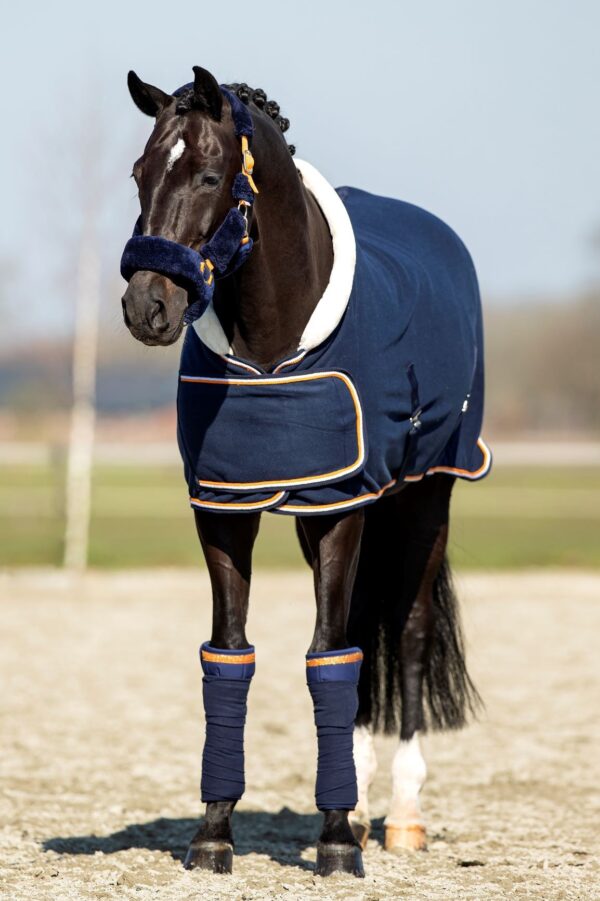 HB Showtime Blue Moon Showdeken - Afbeelding 2