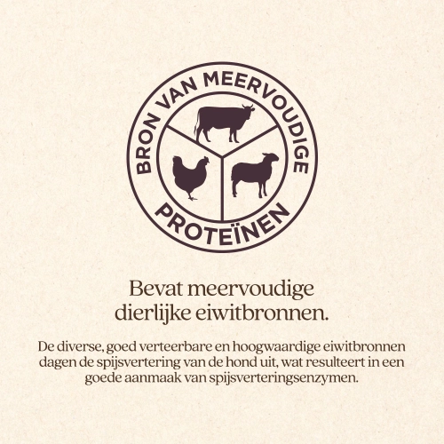 Hond Adult Original Brok Vitalstyle - Afbeelding 2