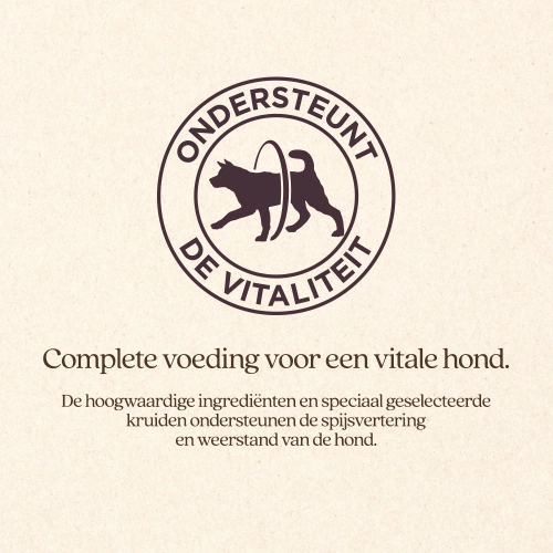 Hond Adult Original Brok Vitalstyle - Afbeelding 3
