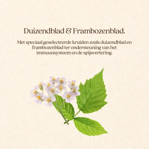 Hond Sensitive Met Eend Brok Vitalstyle - Afbeelding 3