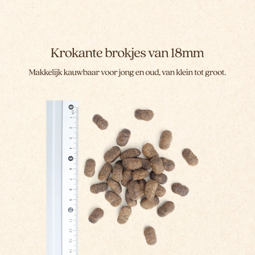 Hond Sensitive Met Eend Brok Vitalstyle - Afbeelding 4